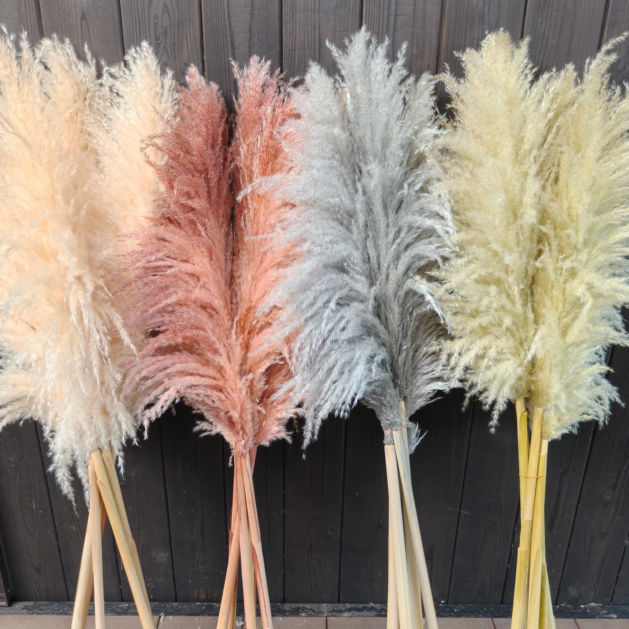 今季!秋冬カラーのパンパスグラス 開店祝い 花 ドライフラワー インテリア ウェディング 大人クリスマス2025 | 4枚目